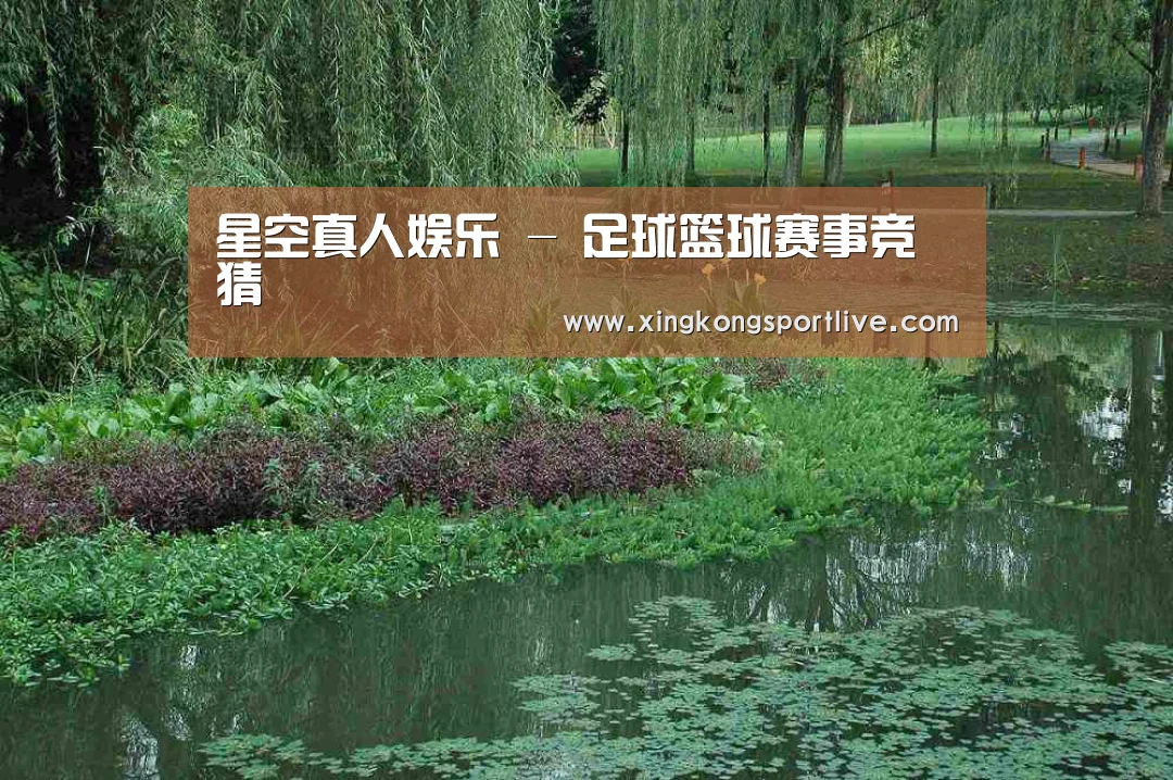 案例展示一(图1)