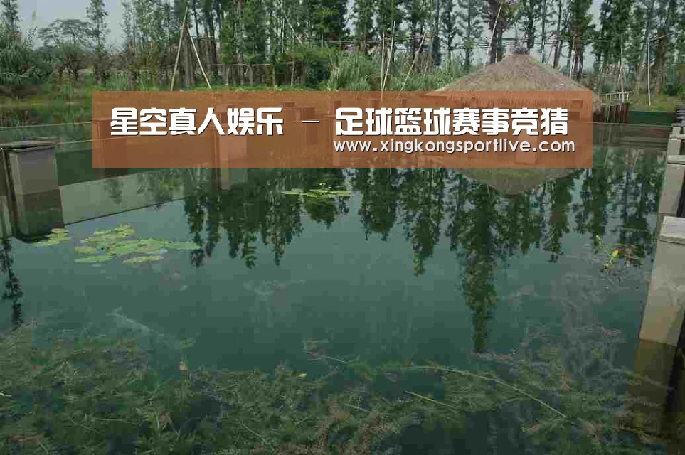 案例展示二(图1)