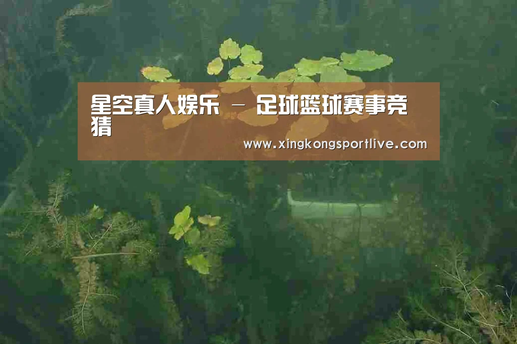 案例展示三