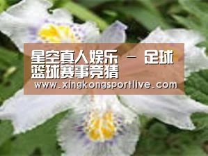 产品名称二