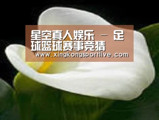 产品名称七