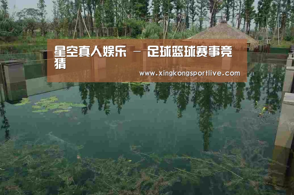 案例展示二