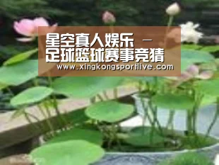 产品名称一