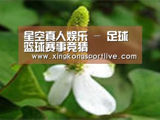 产品名称三