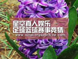 产品名称八