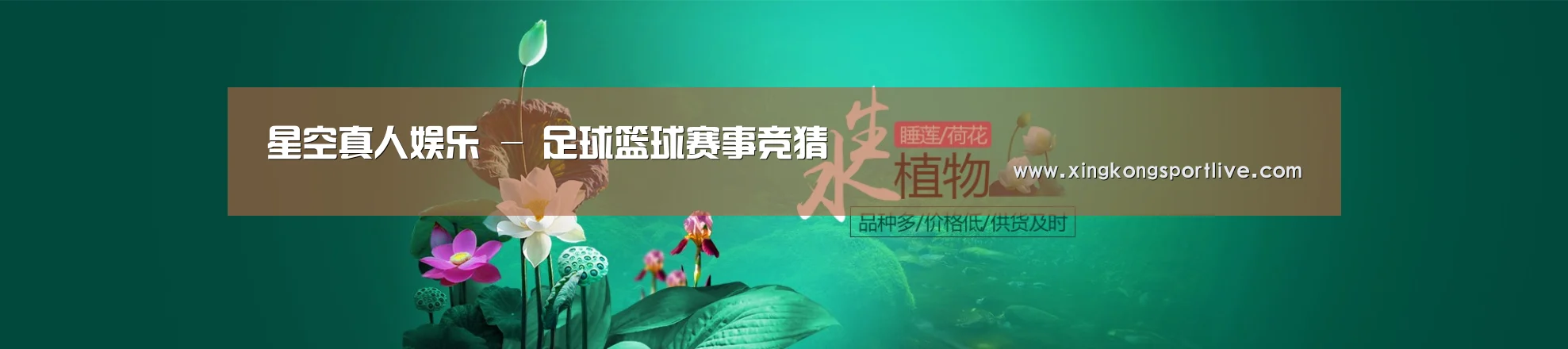 鲜花水草花卉网站模板