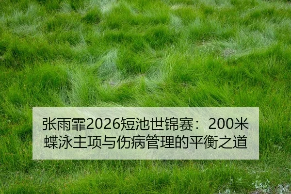 zhang-yu-fei-duan-chi-shi-jin-sai-mi-die-yong-zhu-xiang-yu-shang-bing-guan-li-de-ping-heng-zhi-dao-2-496.jpg
