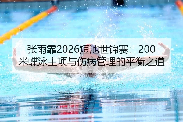 zhang-yu-fei-duan-chi-shi-jin-sai-mi-die-yong-zhu-xiang-yu-shang-bing-guan-li-de-ping-heng-zhi-dao-3-237.jpg