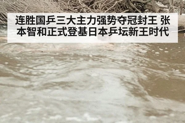 连胜国乒三大主力强势夺冠封王 张本智和正式登基日本乒坛新王时代