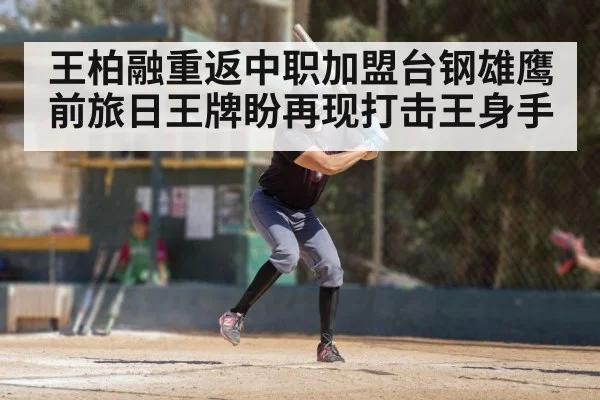 王柏融重返中职加盟台钢雄鹰前旅日王牌盼再现打击王身手