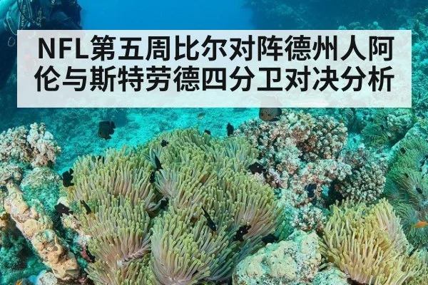 NFL第五周比尔对阵德州人阿伦与斯特劳德四分卫对决分析